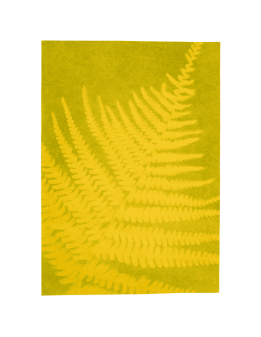 Papel solar de colores