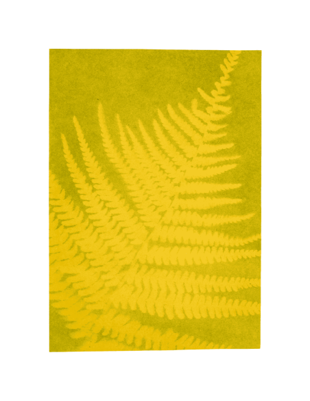 Papel solar de colores