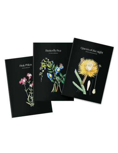 Pack de 3 cuadernos A5 "Sleeplees Garden"