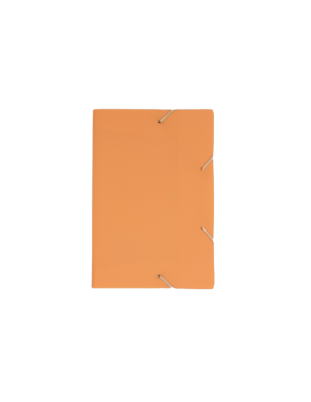 Carpeta A4 pastel