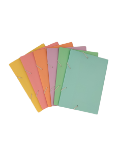 Carpeta A4 pastel 2