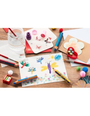 Set de 5 colores 3 en 1 bicolor "Woody"