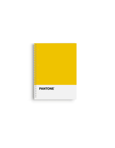 Libreta A4 "Pantone"