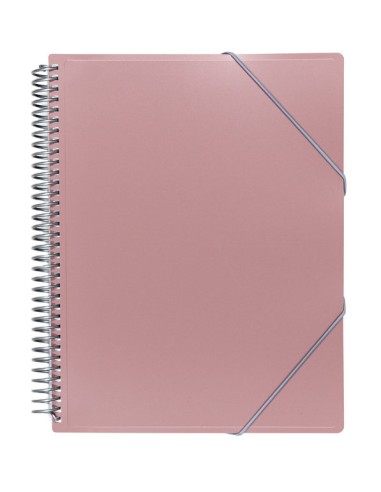 Carpeta A4 metalizada con 20 fundas