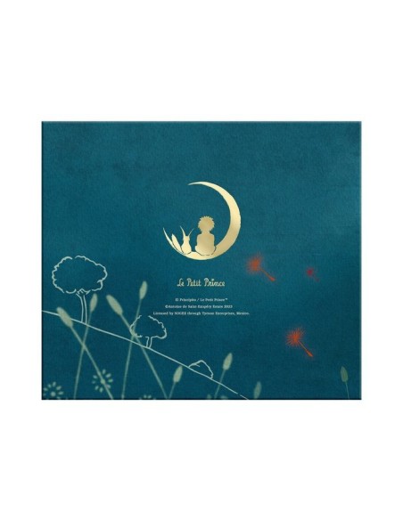 Planificador con cubiertas "El Principito"