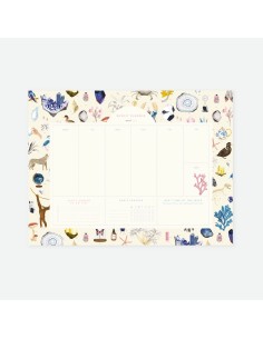 Planificador semanal "Curiosity"