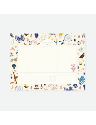 Planificador semanal "Curiosity"